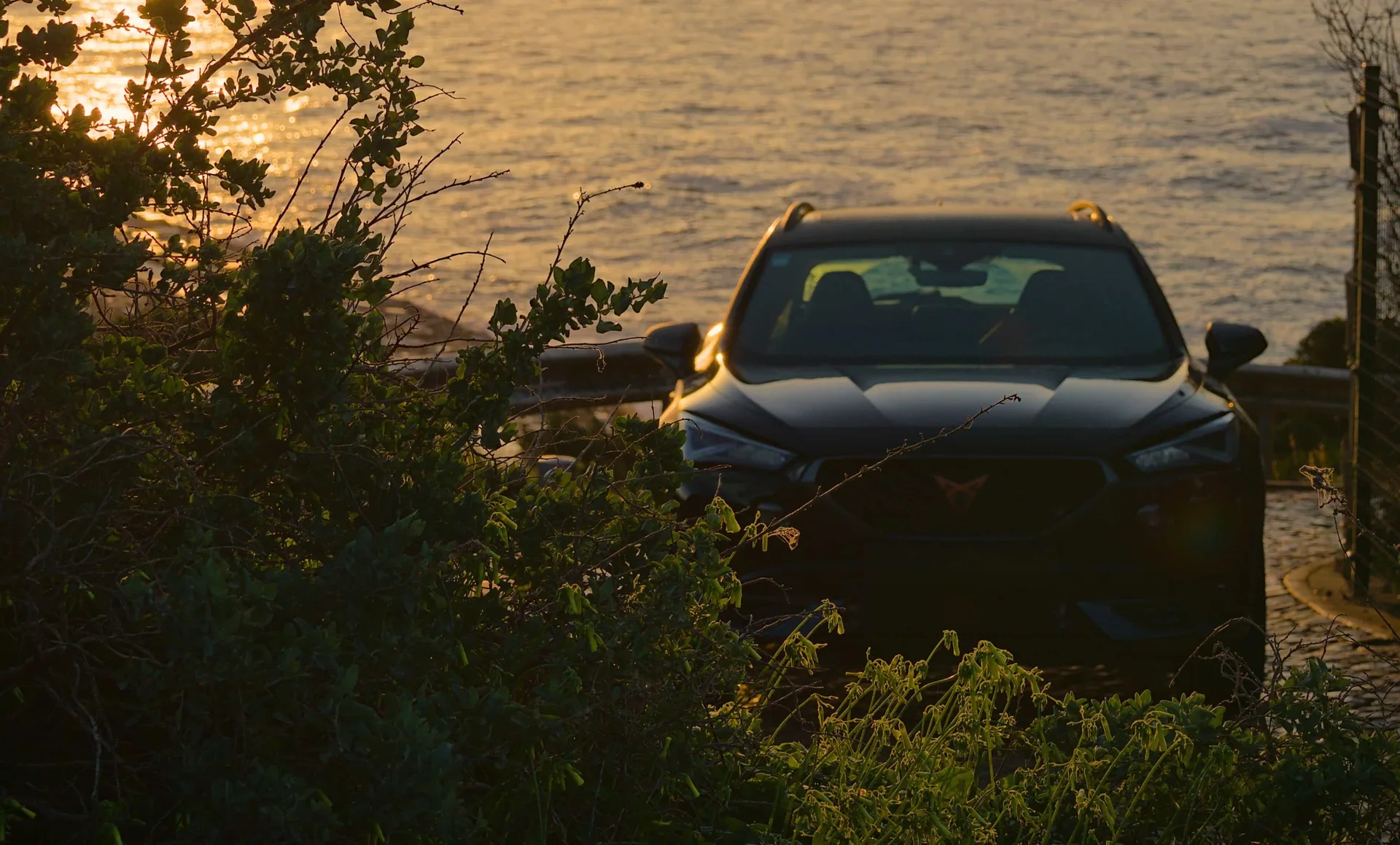 REV Cupra Formentor VZ 1